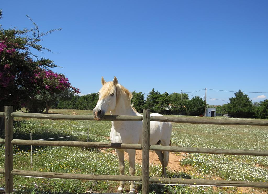 ホテルQuinta Dos Cavalos シルヴェス エクステリア 写真